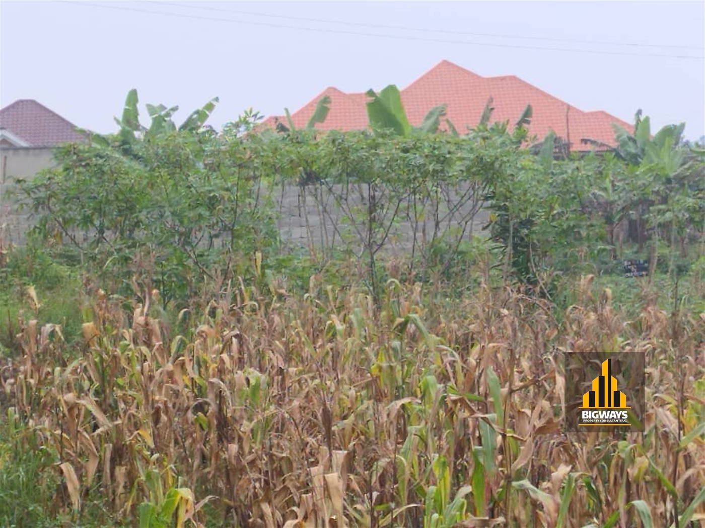 Residential Land for sale in Gayaza Wakiso