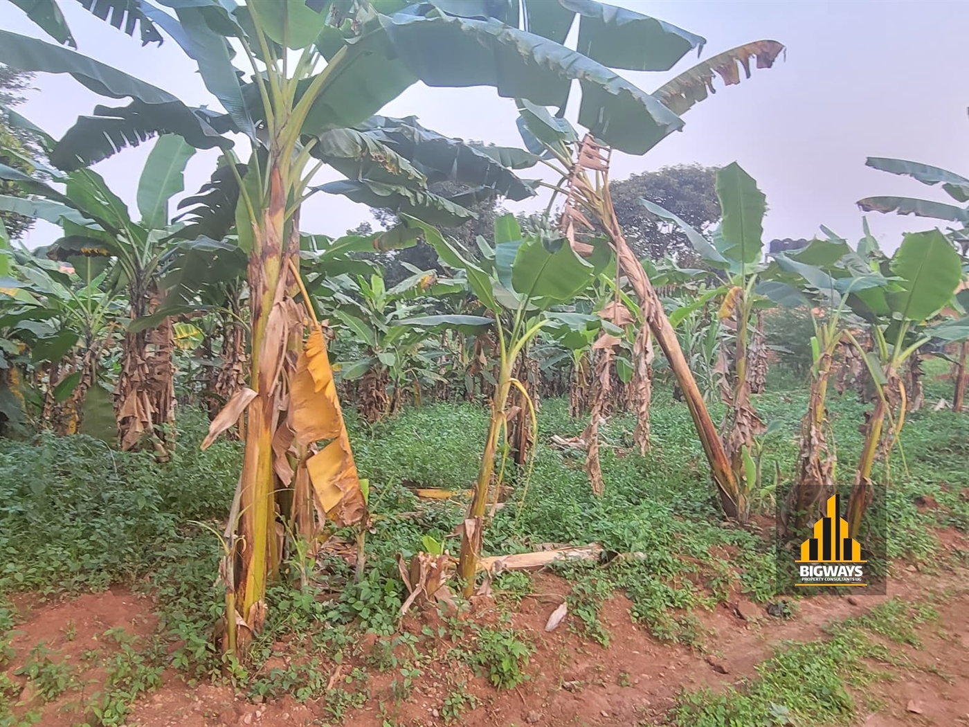 Residential Land for sale in Kulambilo Wakiso