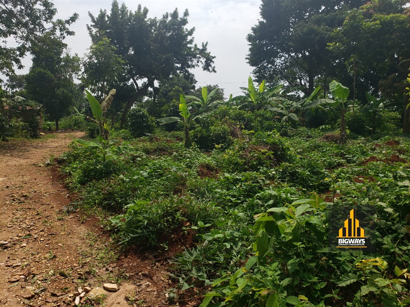 Residential Land for sale in Nkumba Wakiso