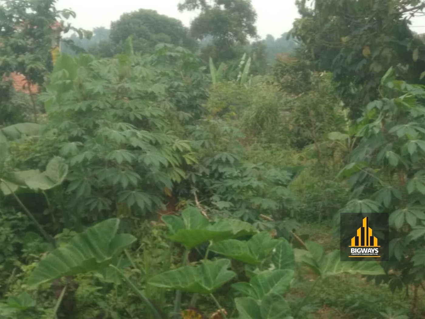 Residential Land for sale in Kira Wakiso