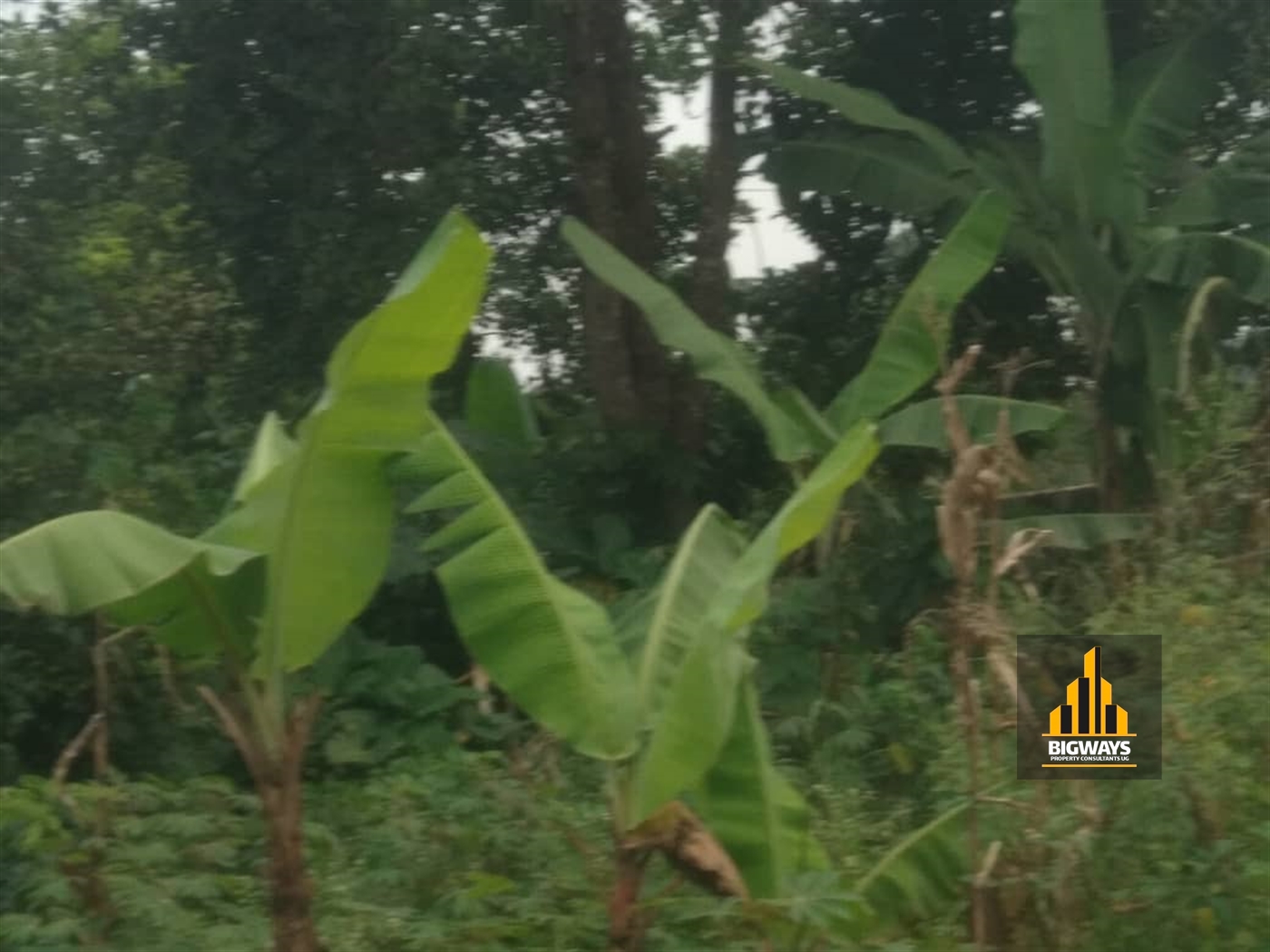 Residential Land for sale in Kira Wakiso