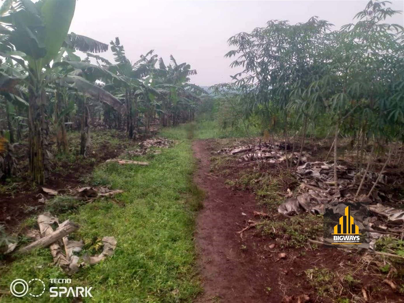 Residential Land for sale in Kitukutwe Wakiso