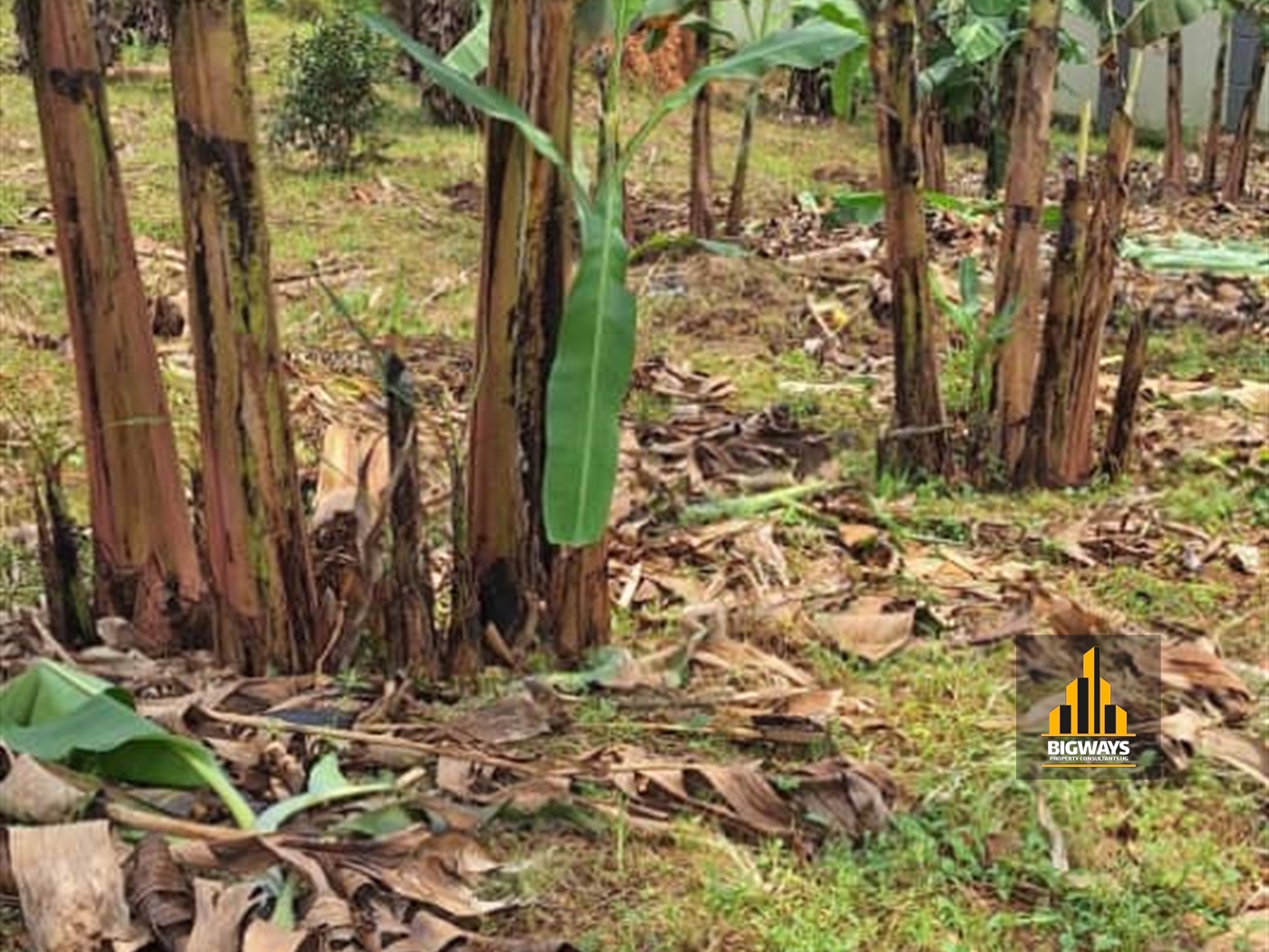 Residential Land for sale in Kira Wakiso