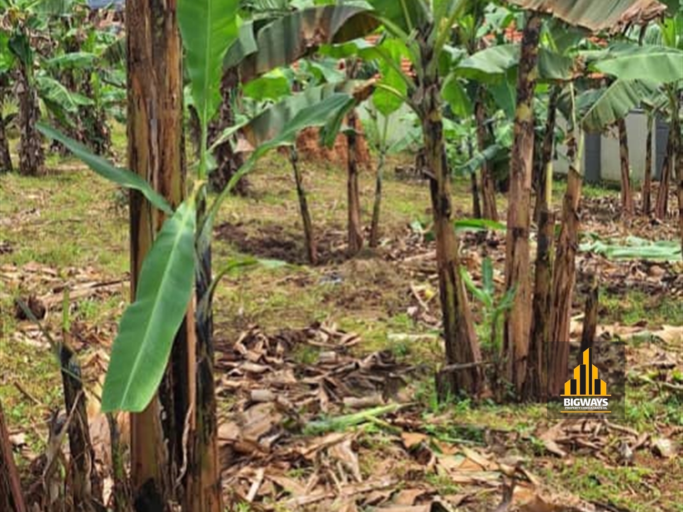 Residential Land for sale in Kira Wakiso