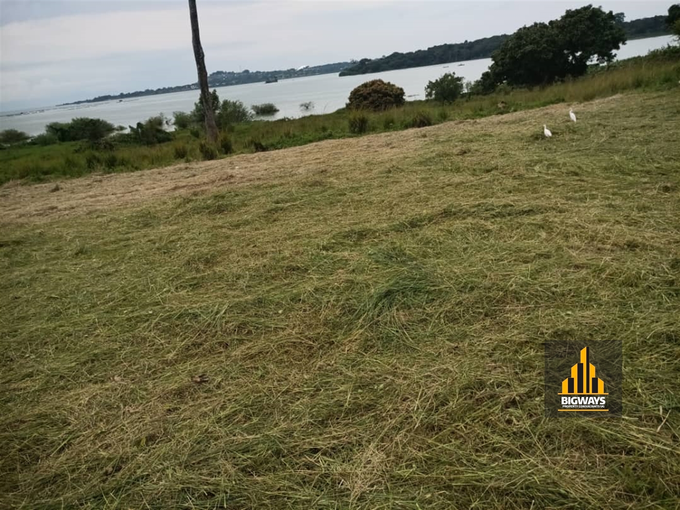 Residential Land for sale in Garuga Wakiso