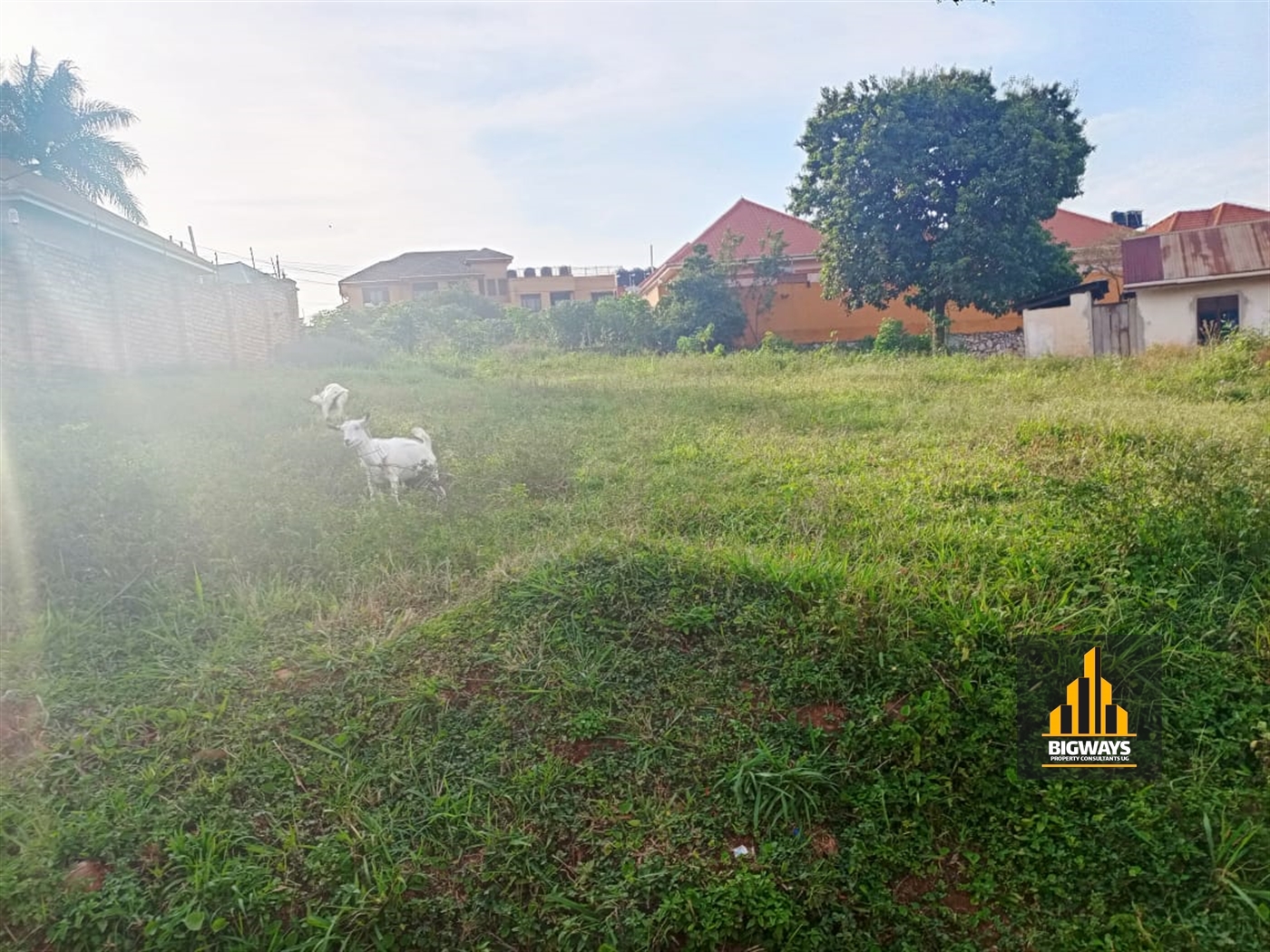 Residential Land for sale in Kyanja Kampala