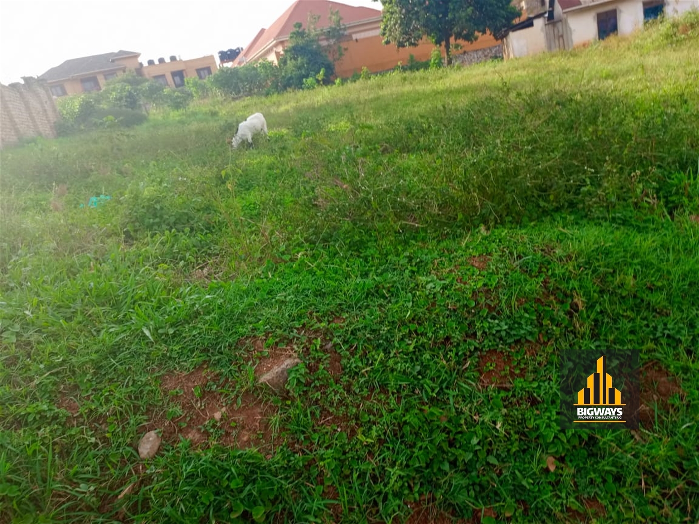 Residential Land for sale in Kyanja Kampala