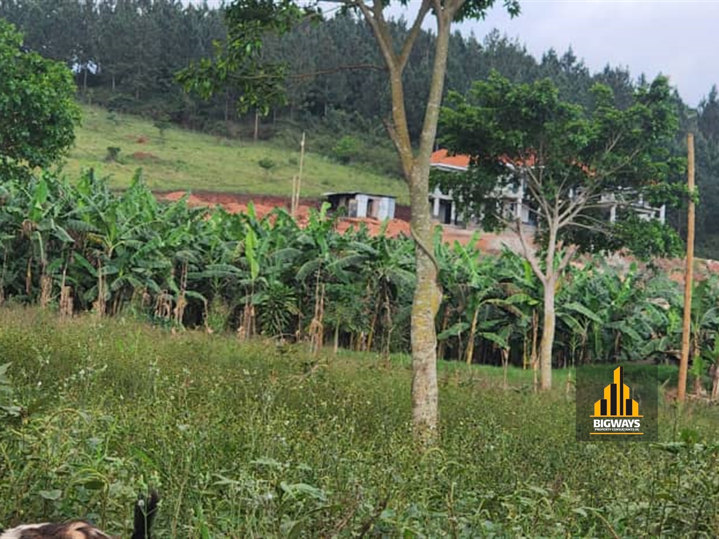 Residential Land for sale in Gayaza Wakiso