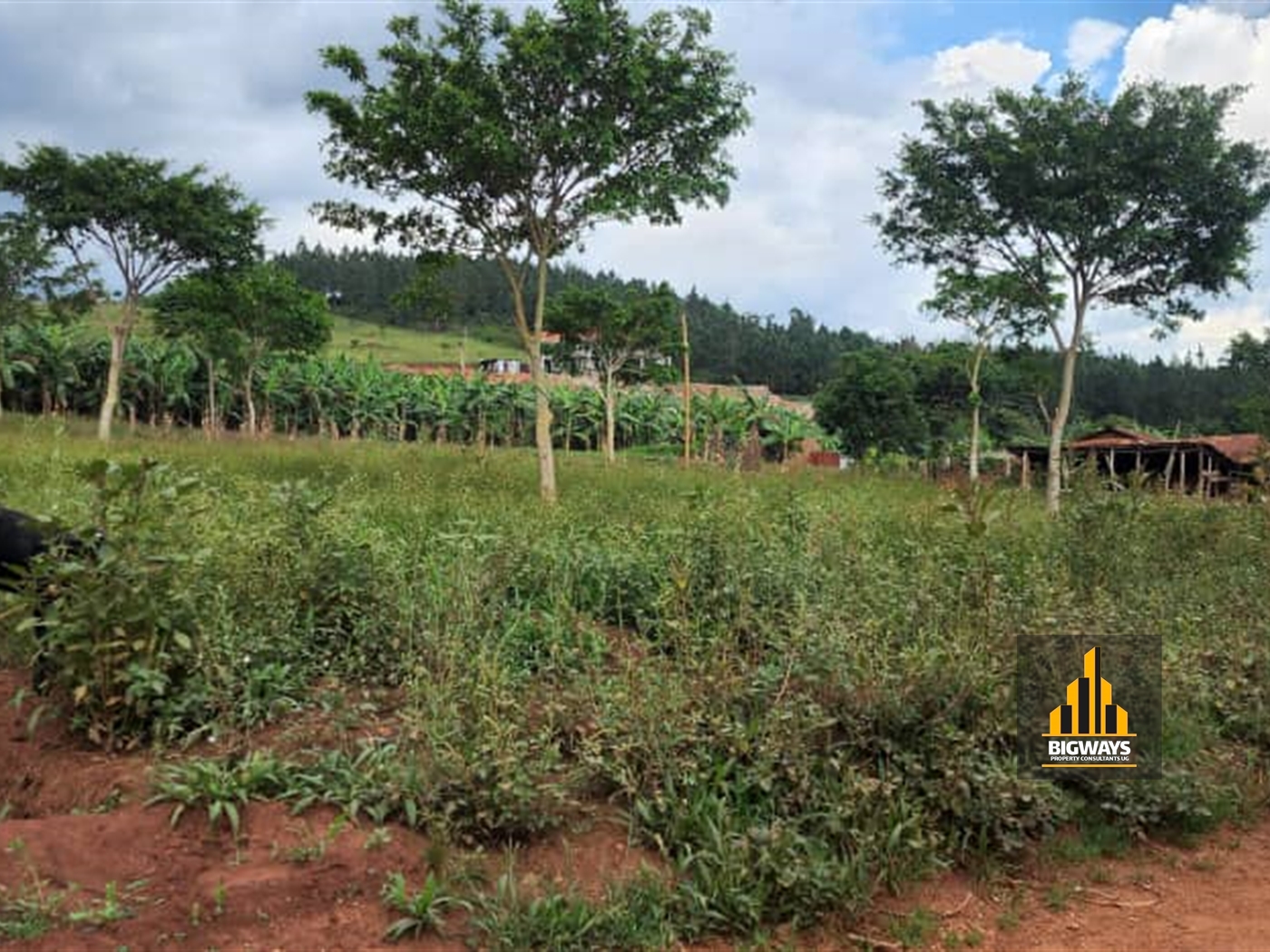 Residential Land for sale in Gayaza Wakiso