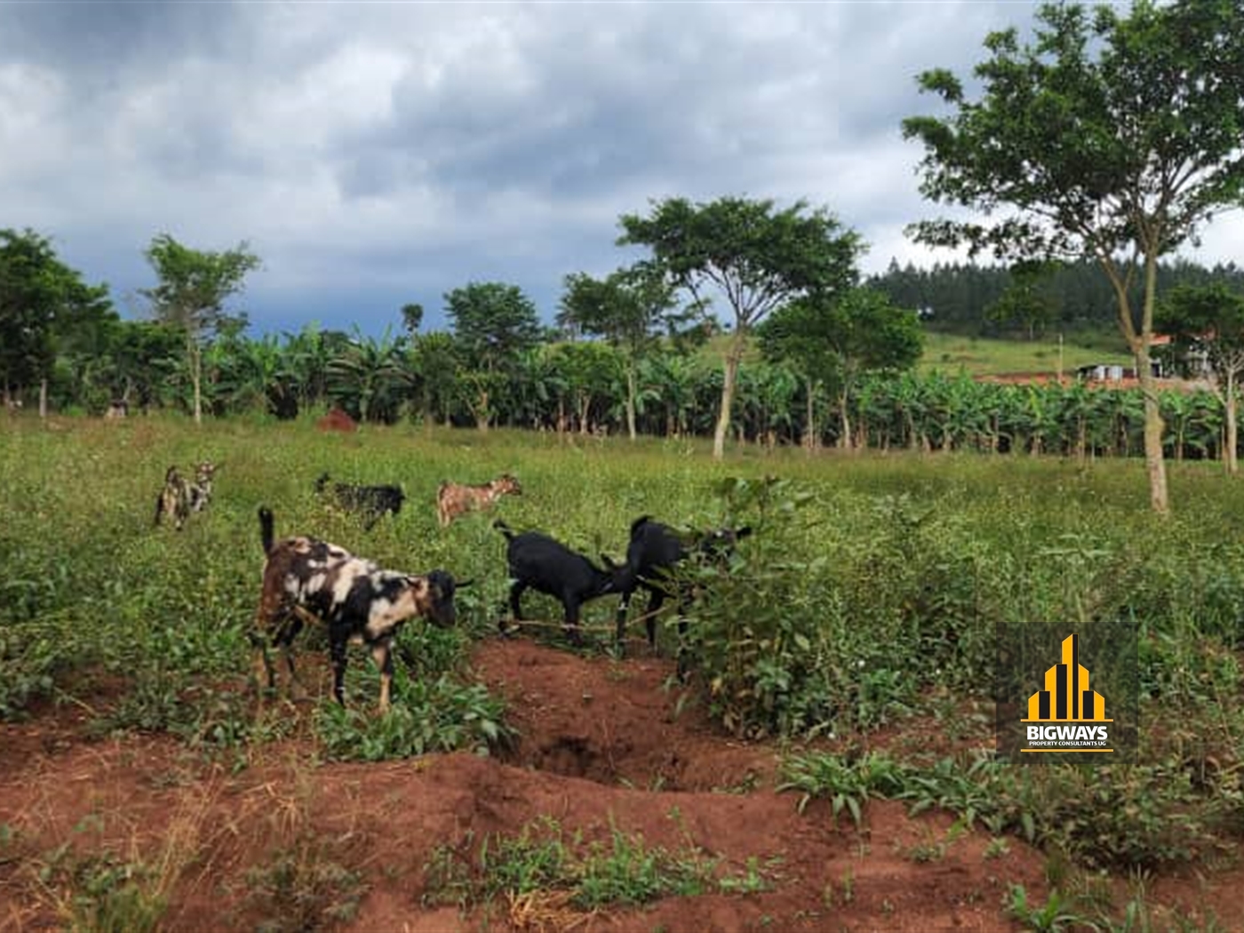 Residential Land for sale in Gayaza Wakiso