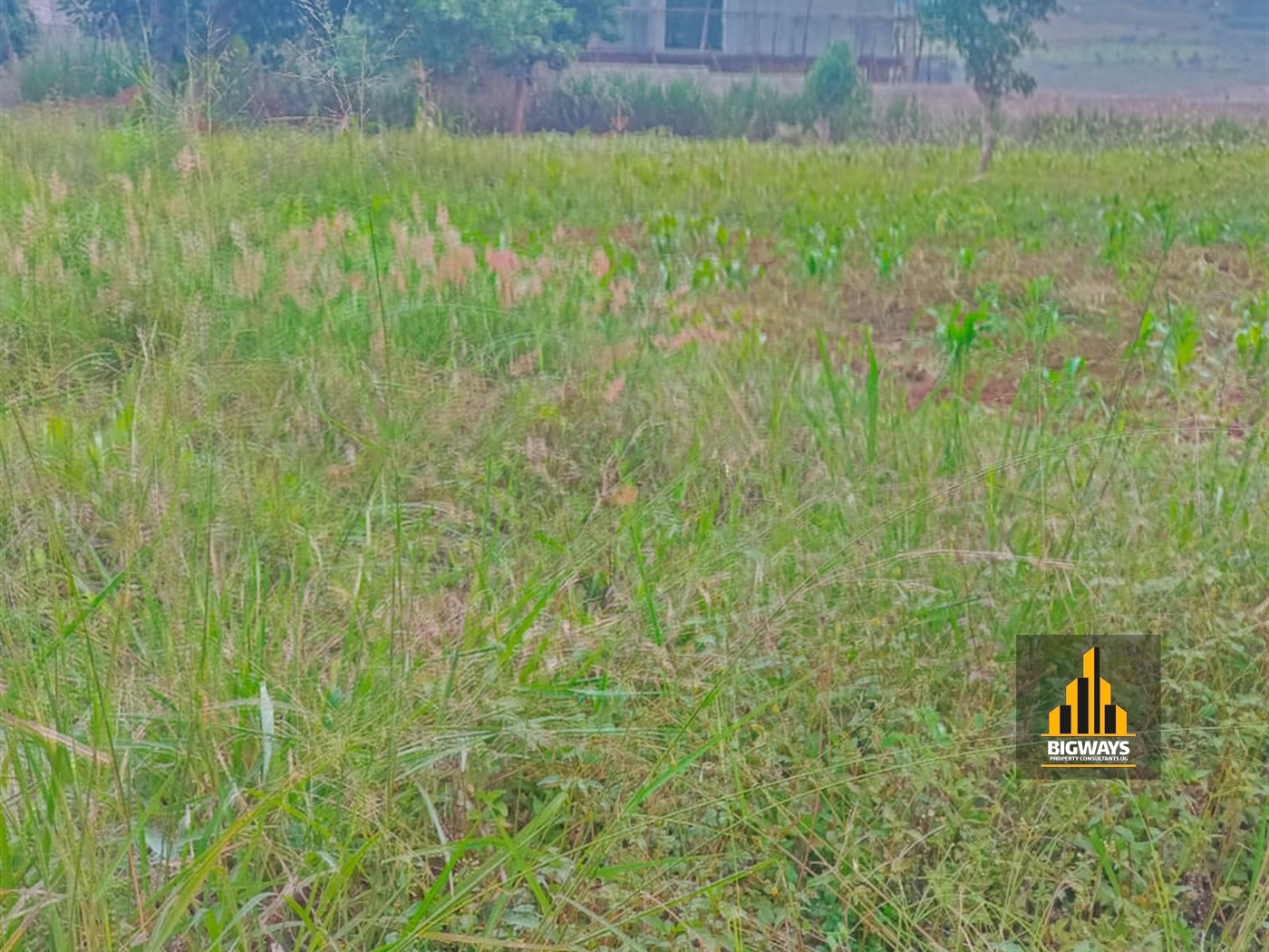 Residential Land for sale in Kitende Wakiso