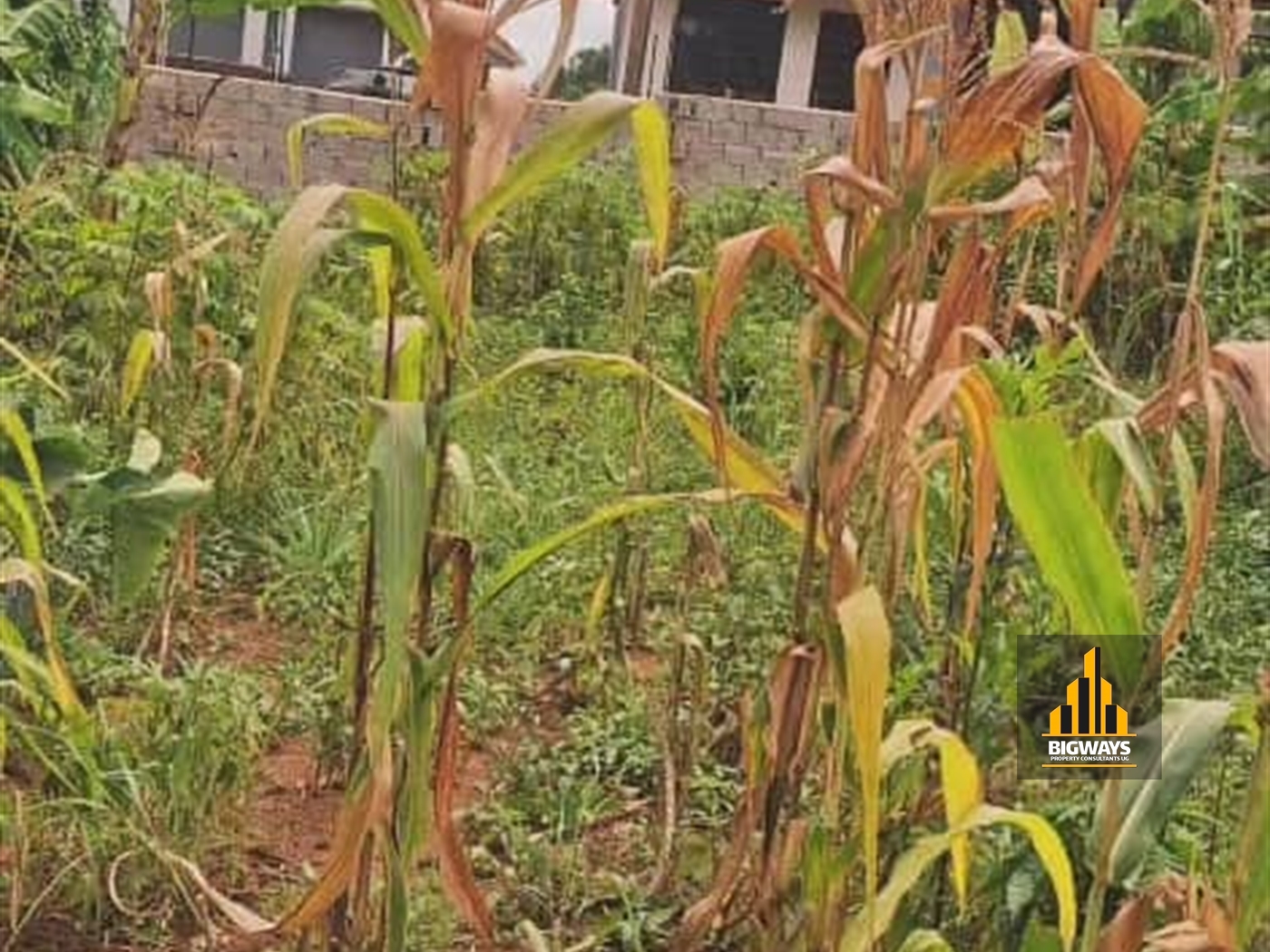 Residential Land for sale in Kira Wakiso