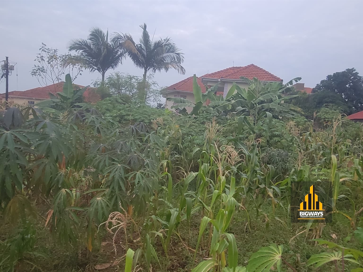 Residential Land for sale in Munyonyo Kampala