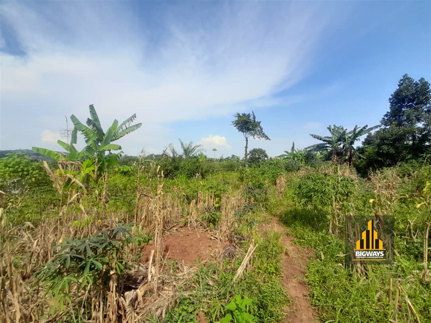 Residential Land for sale in Kitukutwe Wakiso