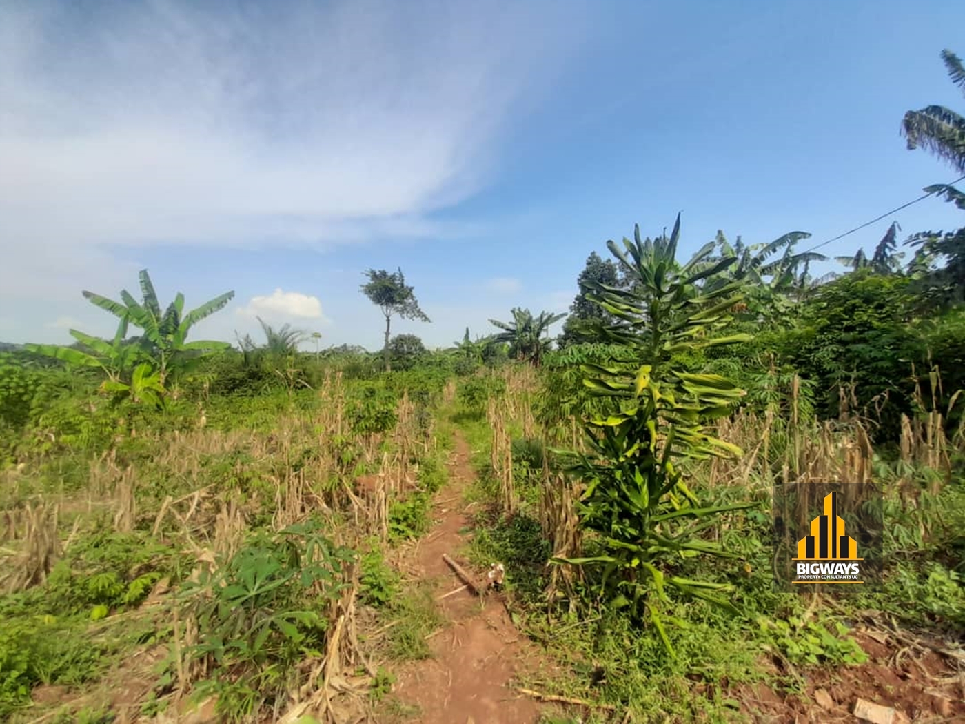 Residential Land for sale in Kitukutwe Wakiso