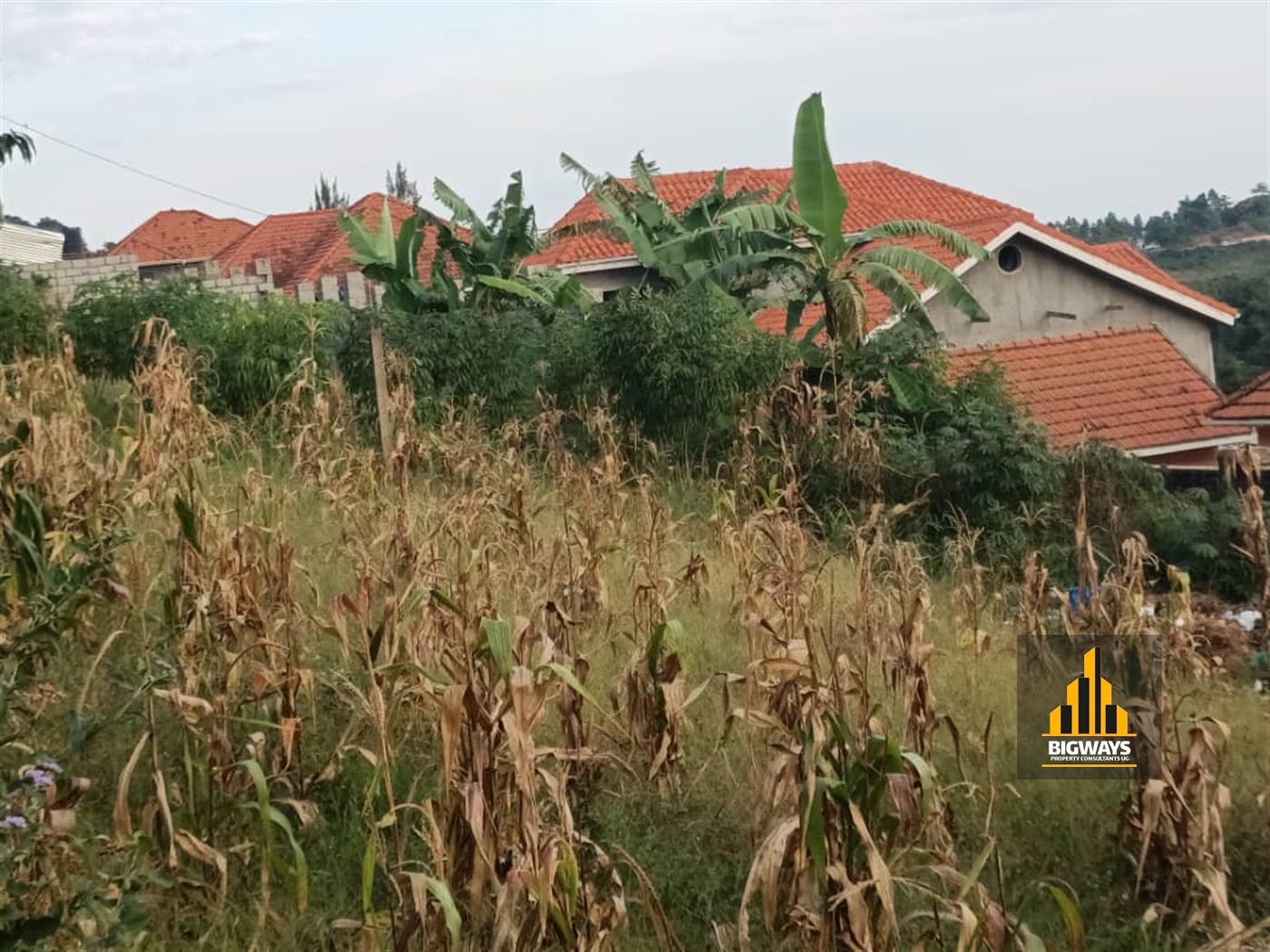 Residential Land for sale in Akright Wakiso