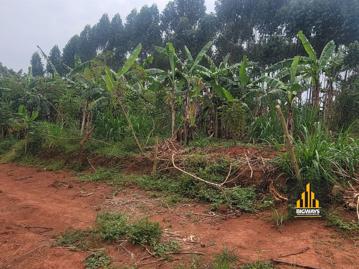 Residential Land for sale in Gayaza Wakiso