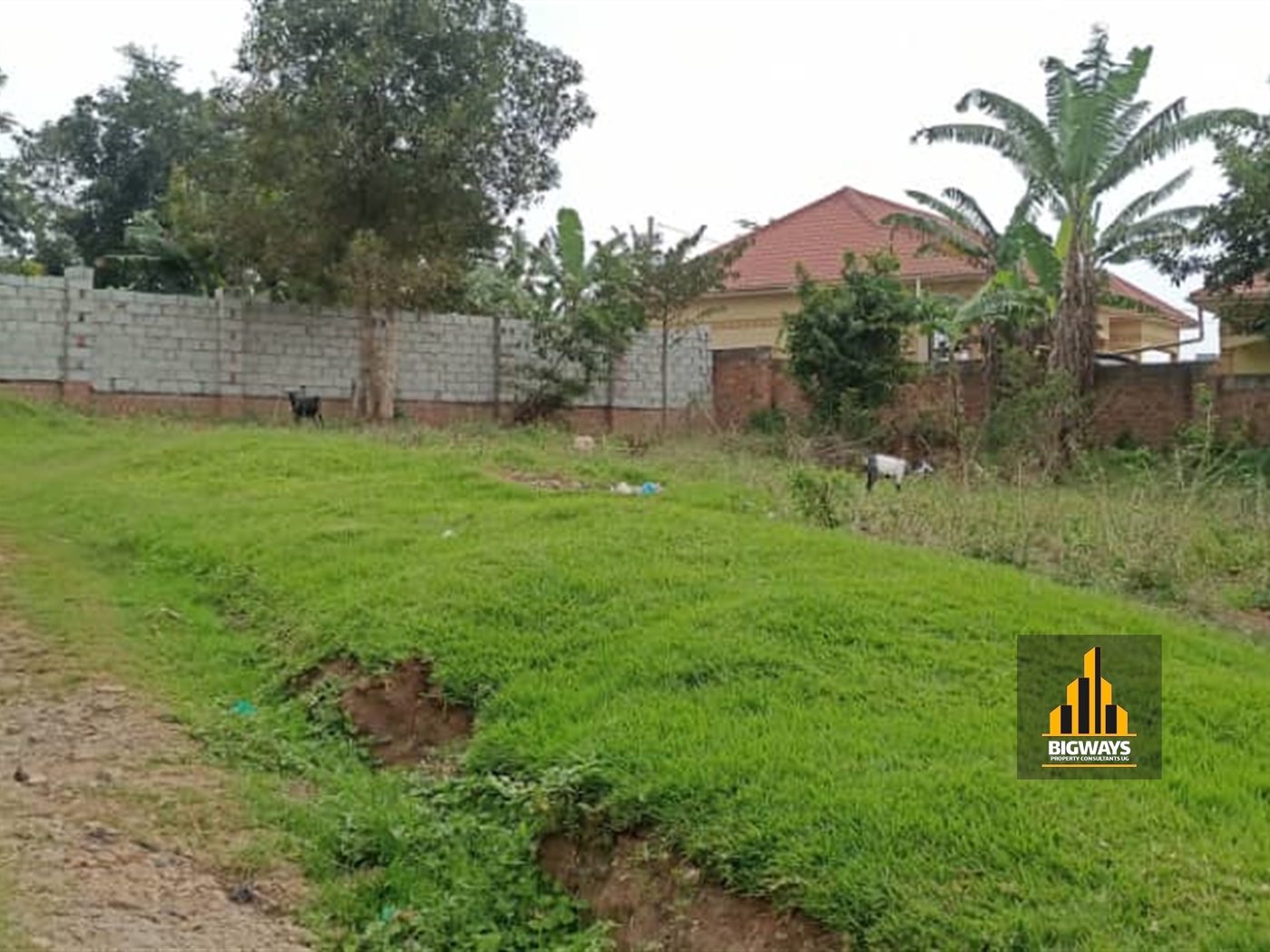 Residential Land for sale in Namugongo Wakiso