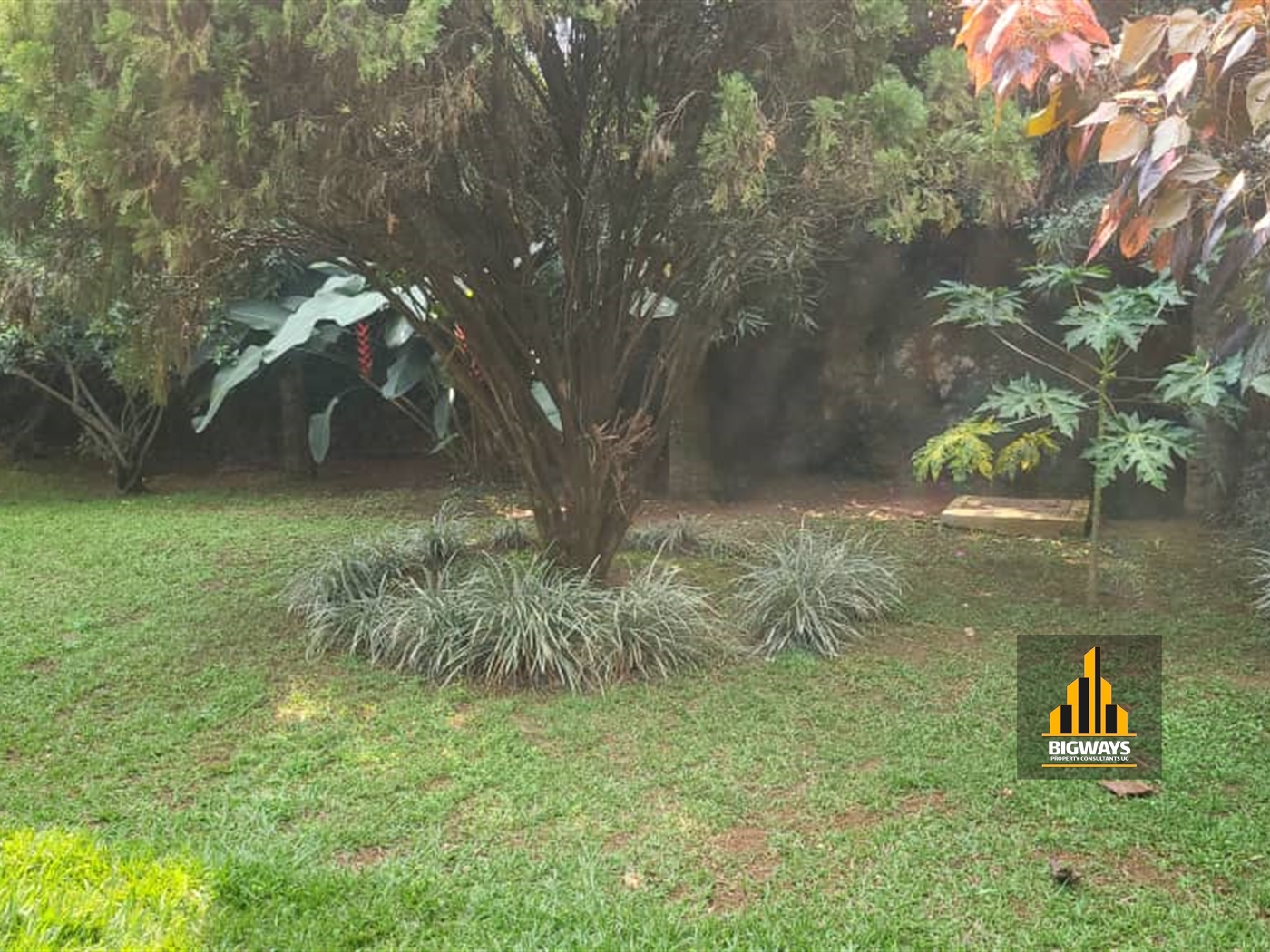 Bungalow for sale in Lubowa Wakiso