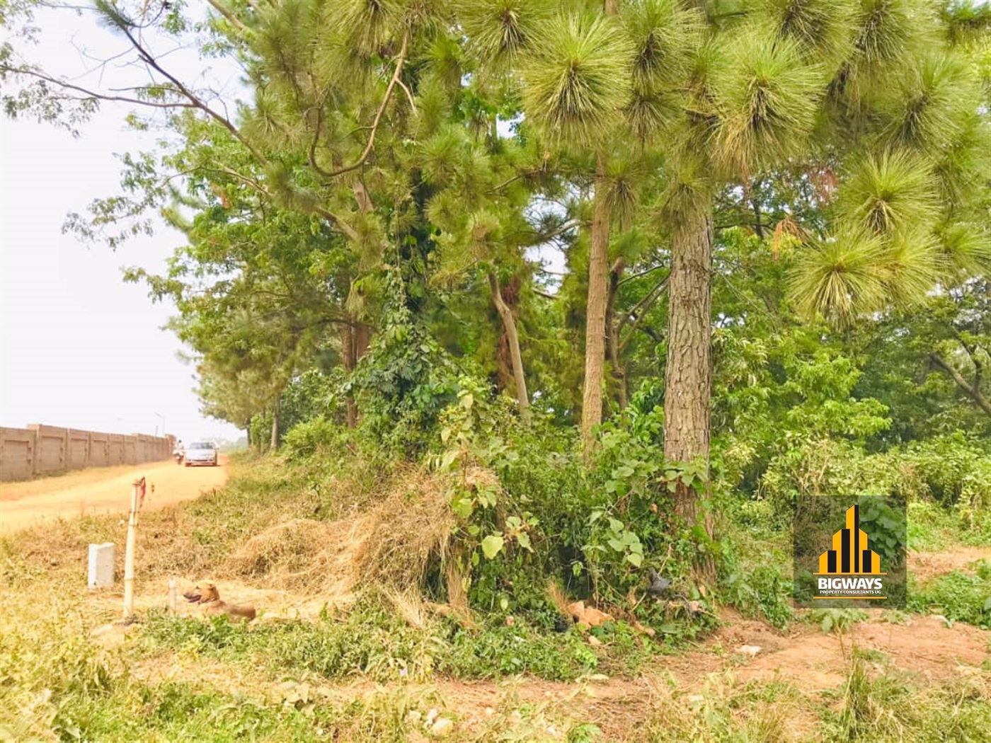 Residential Land for sale in Kigo Wakiso