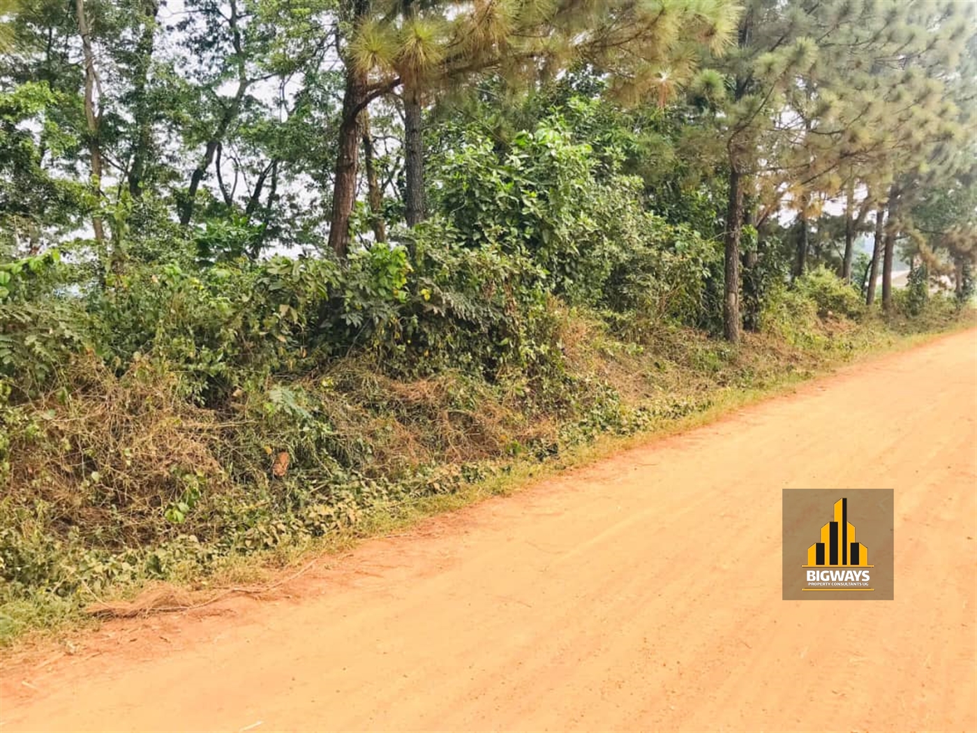 Residential Land for sale in Kigo Wakiso