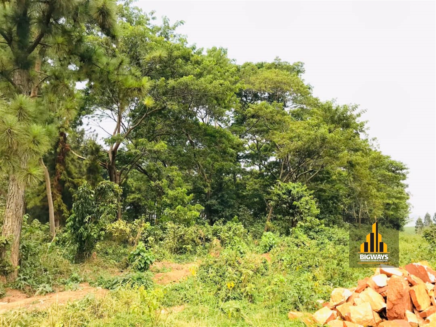 Residential Land for sale in Kigo Wakiso