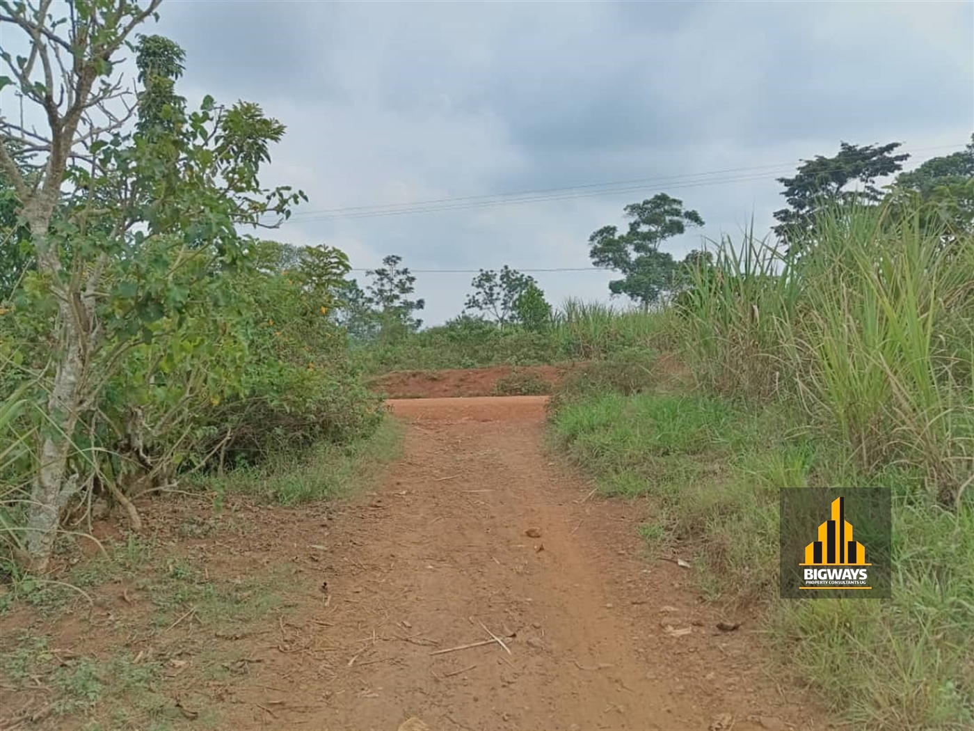 Residential Land for sale in Namata Mukono