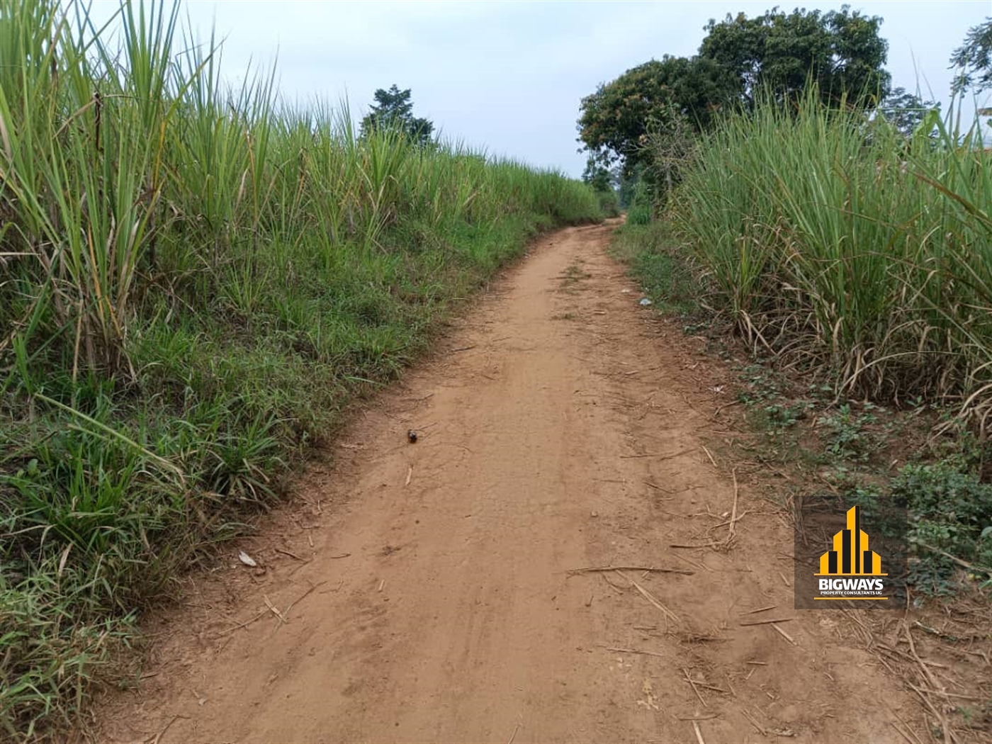 Residential Land for sale in Namata Mukono