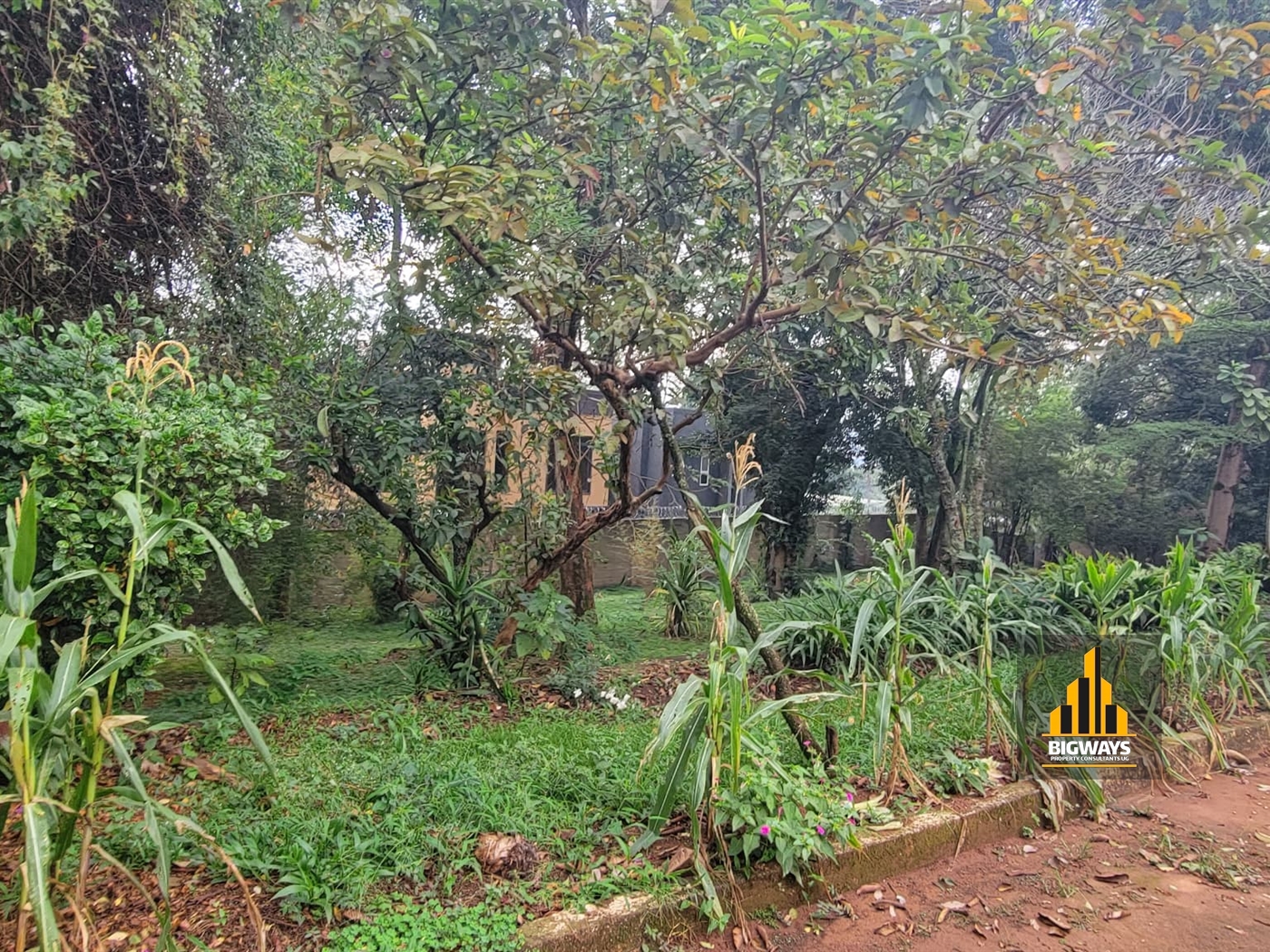 Residential Land for sale in Bbunga Kampala