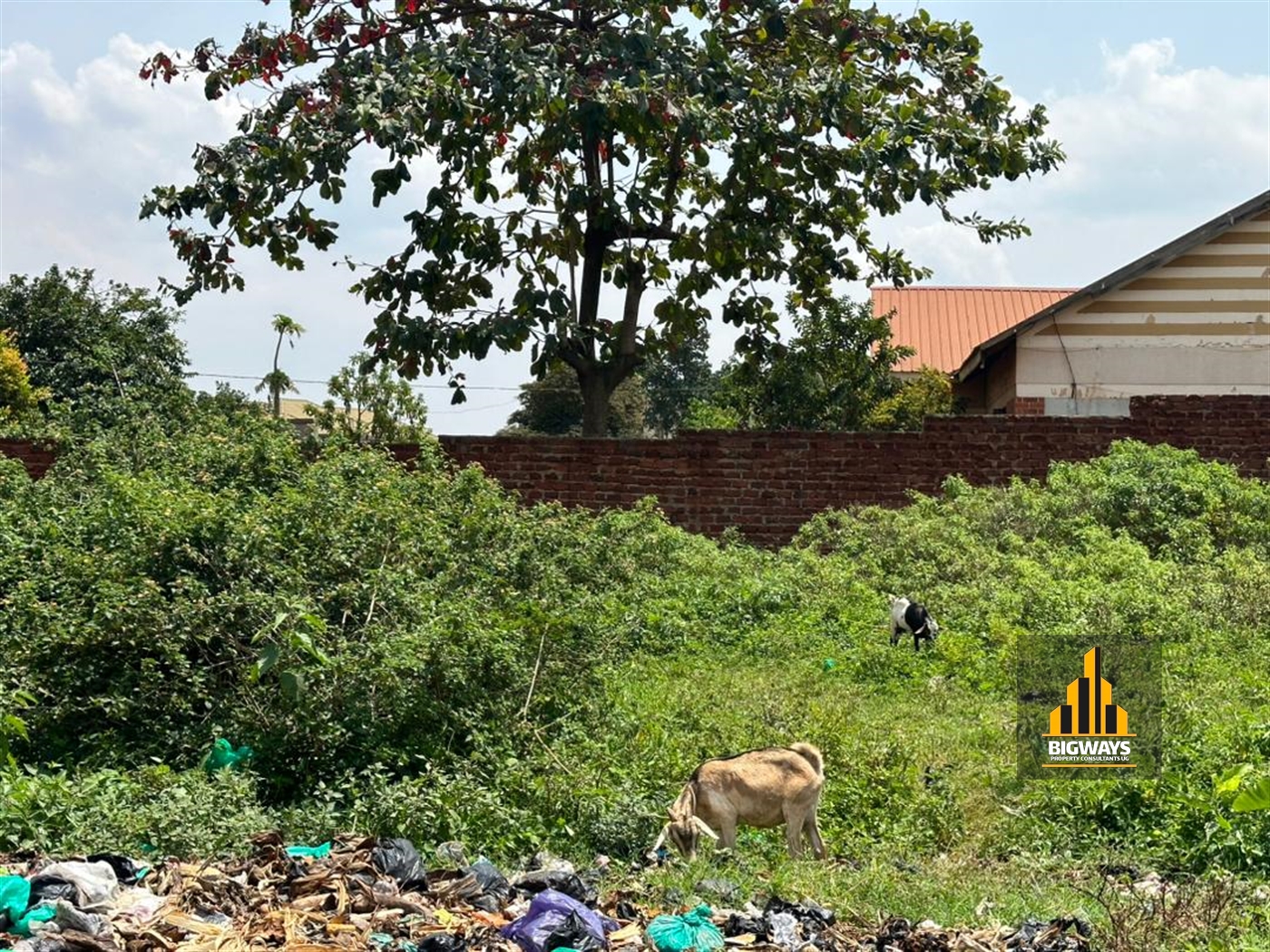 Residential Land for sale in Kyaliwajjala Wakiso