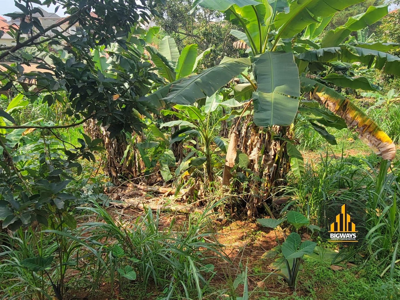 Residential Land for sale in Kyanja Kampala