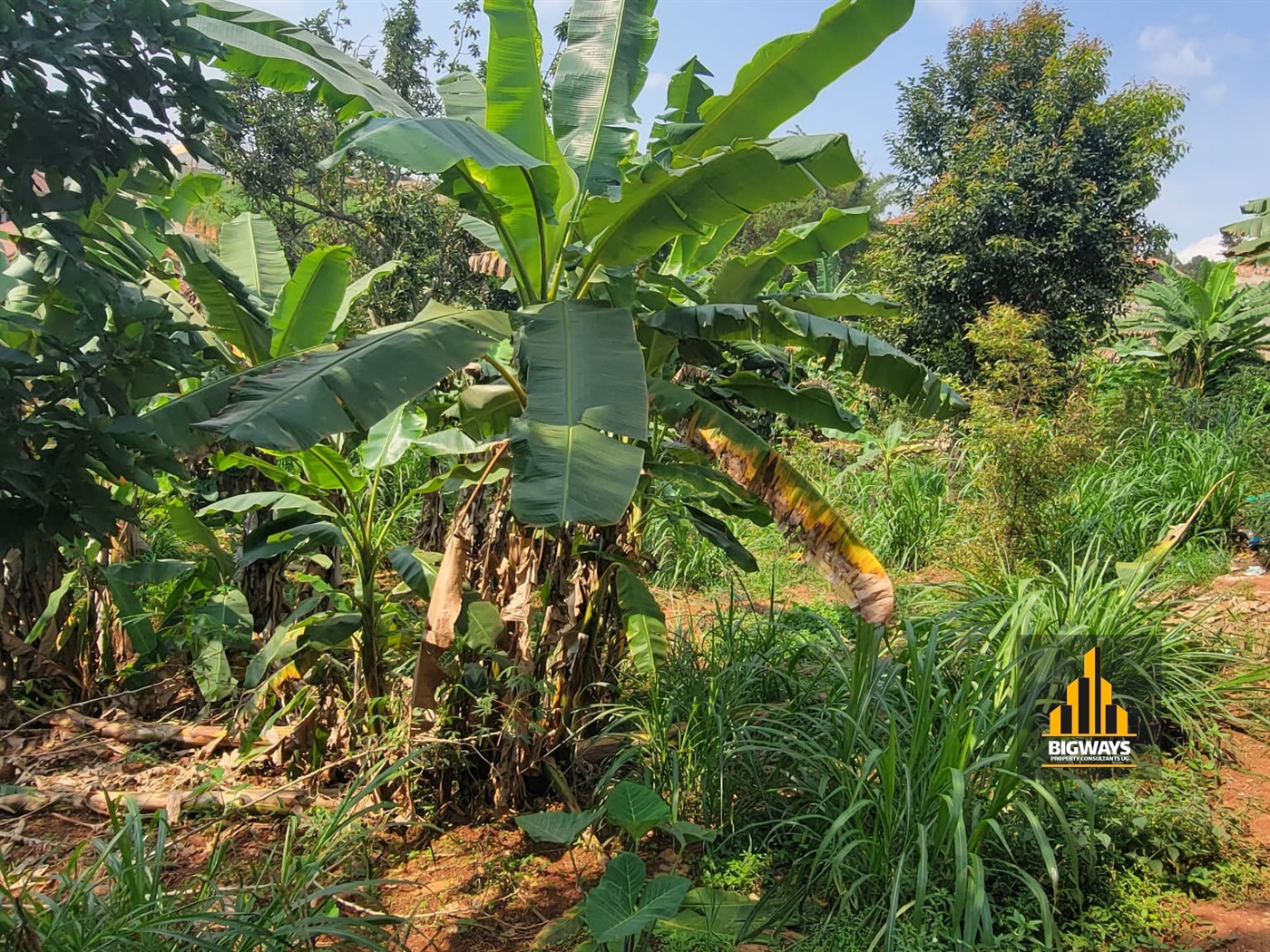 Residential Land for sale in Kyanja Kampala