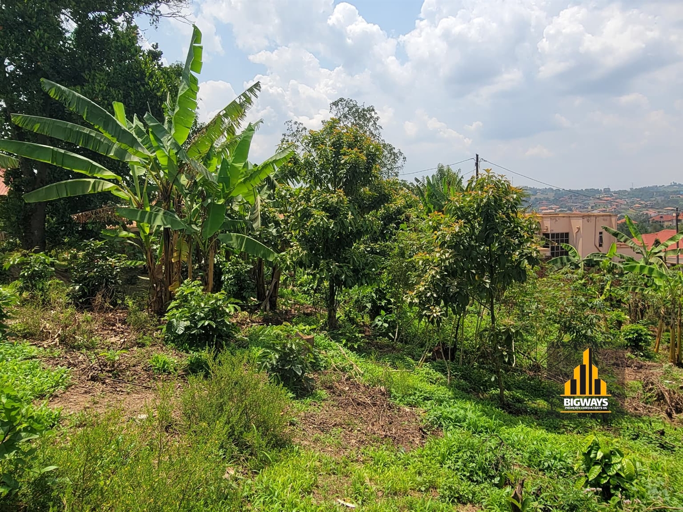 Residential Land for sale in Nsasa Wakiso