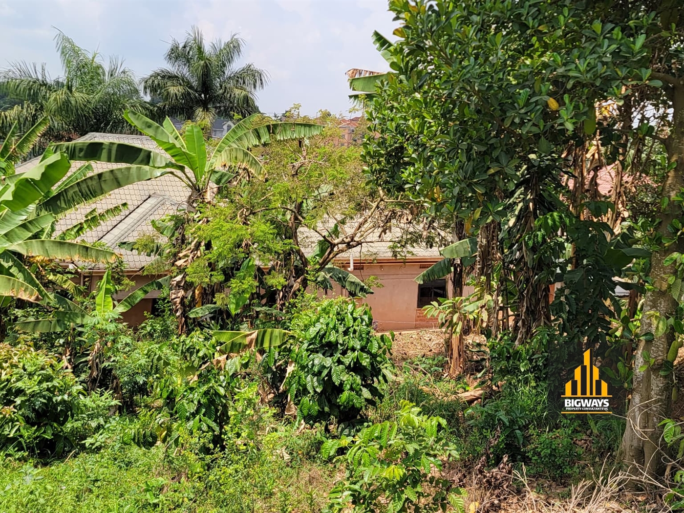 Residential Land for sale in Nsasa Wakiso