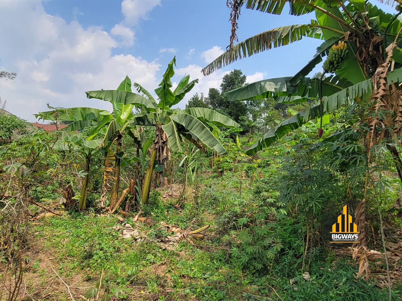 Residential Land for sale in Nsasa Wakiso