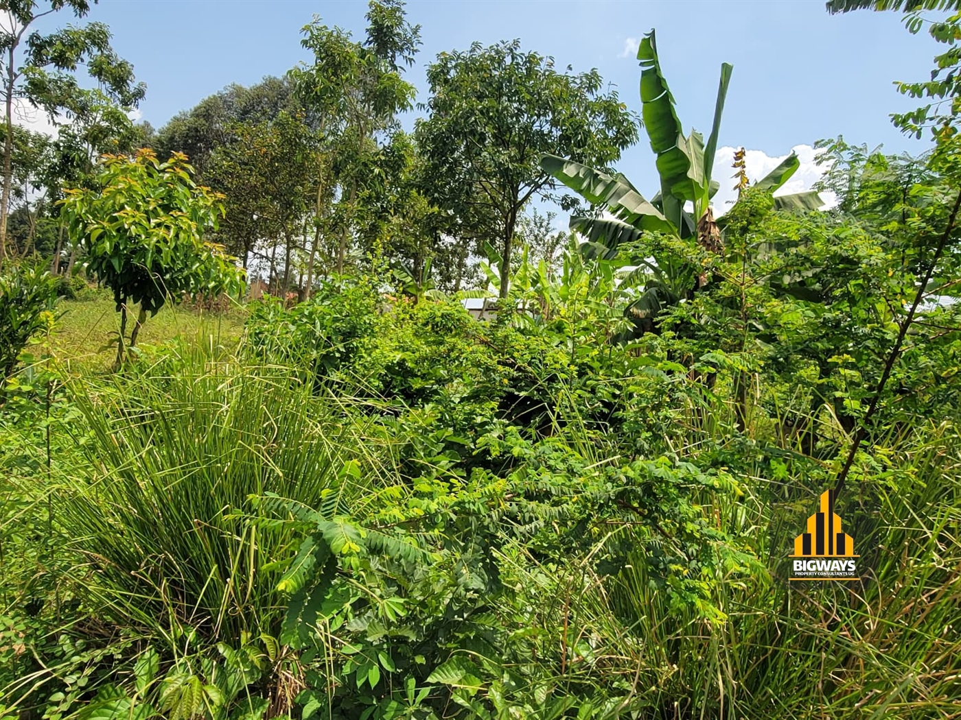 Residential Land for sale in Nsasa Wakiso