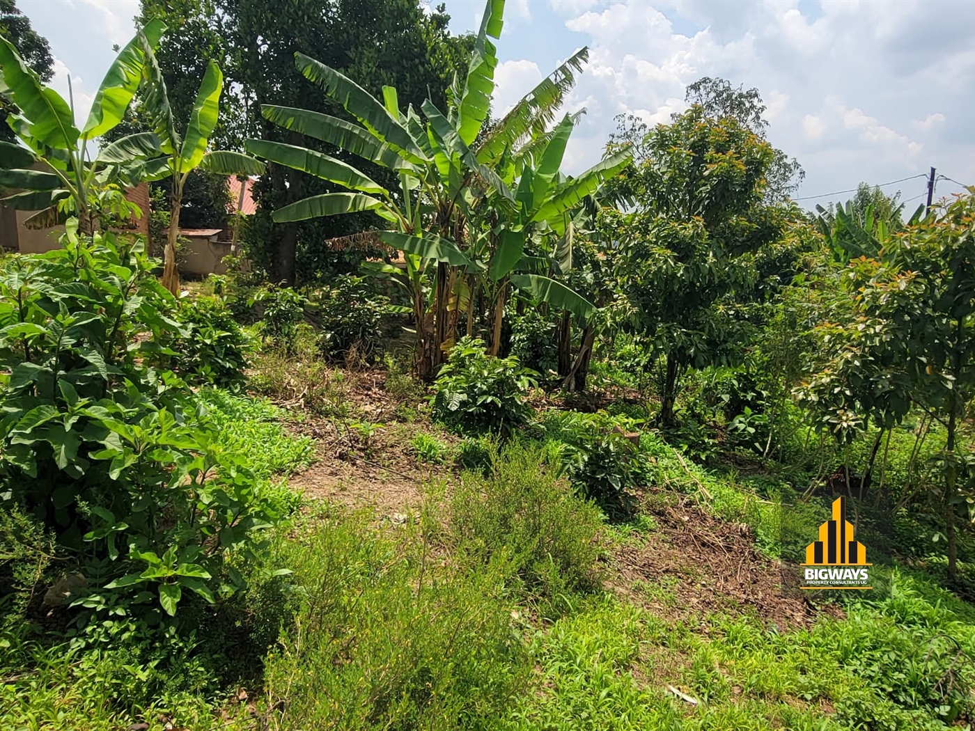 Residential Land for sale in Nsasa Wakiso