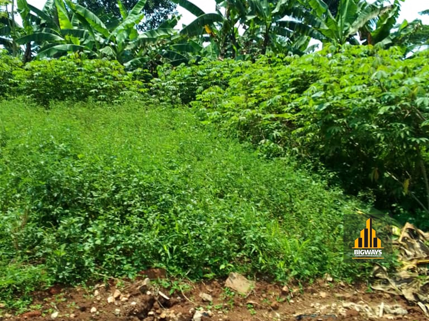 Residential Land for sale in Gayaza Wakiso