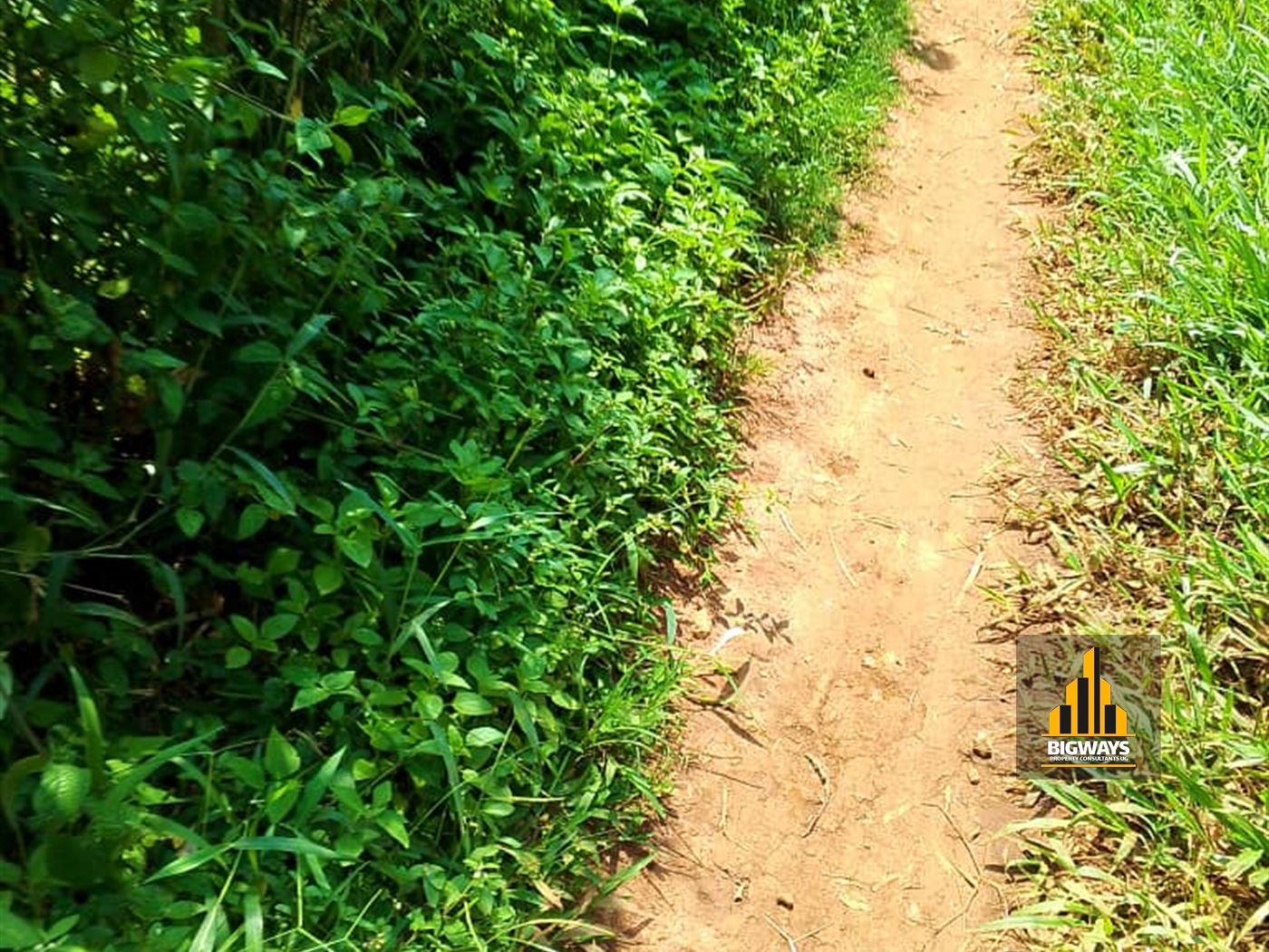 Residential Land for sale in Gayaza Wakiso