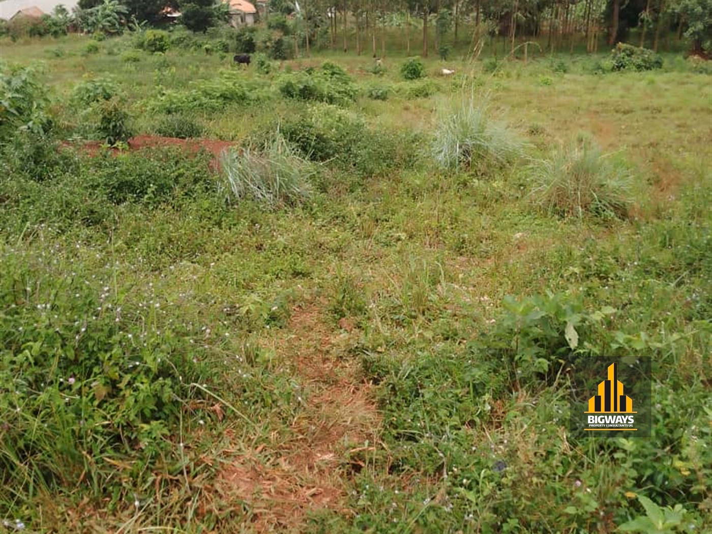 Residential Land for sale in Bukasa Wakiso