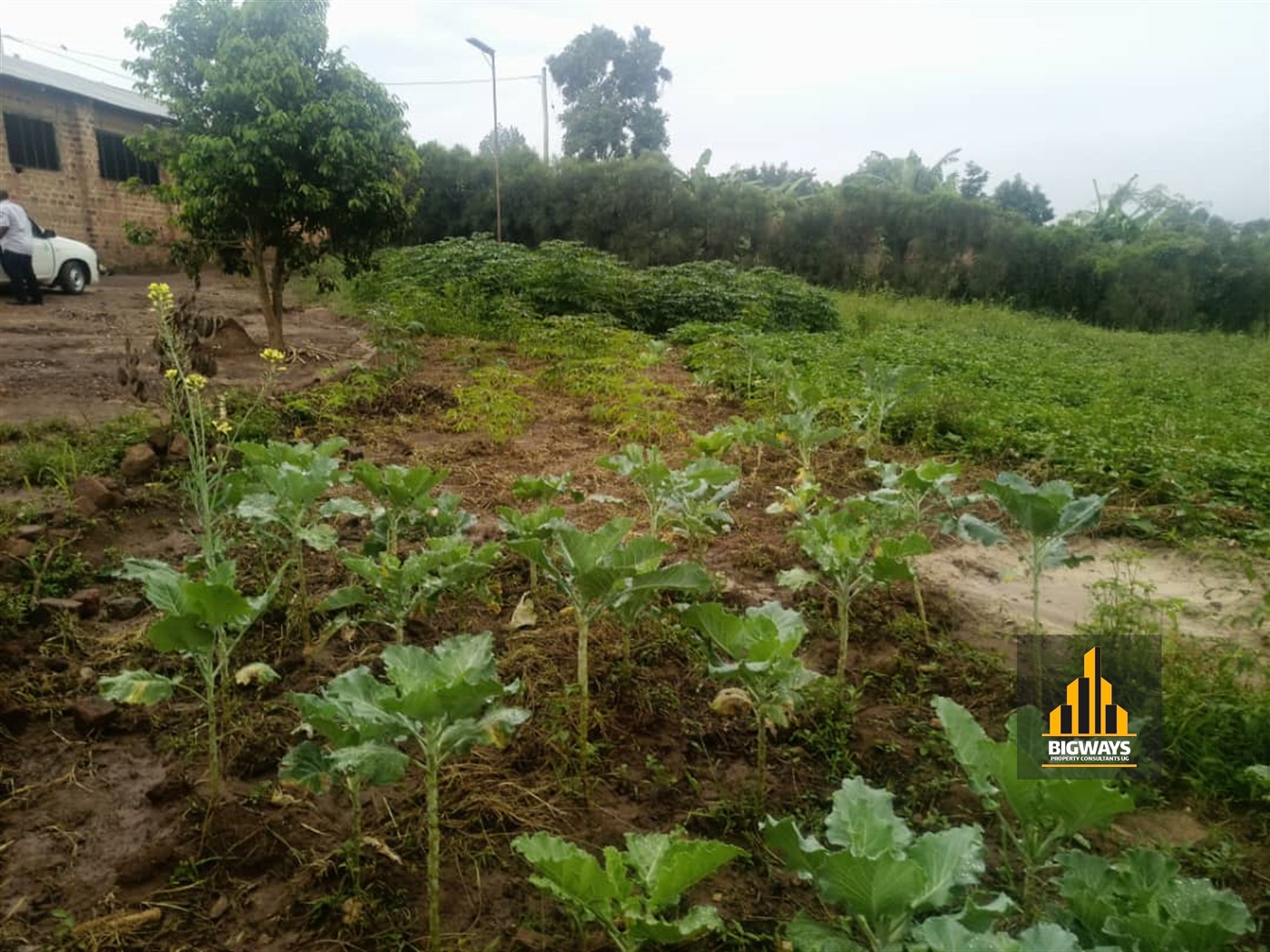 Residential Land for sale in Kiwenda Wakiso