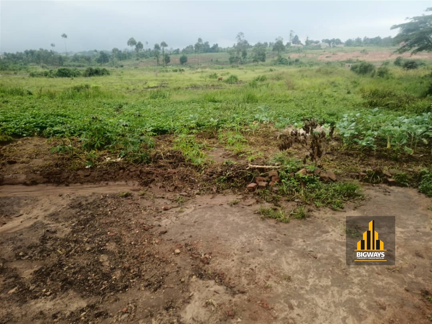 Residential Land for sale in Kiwenda Wakiso