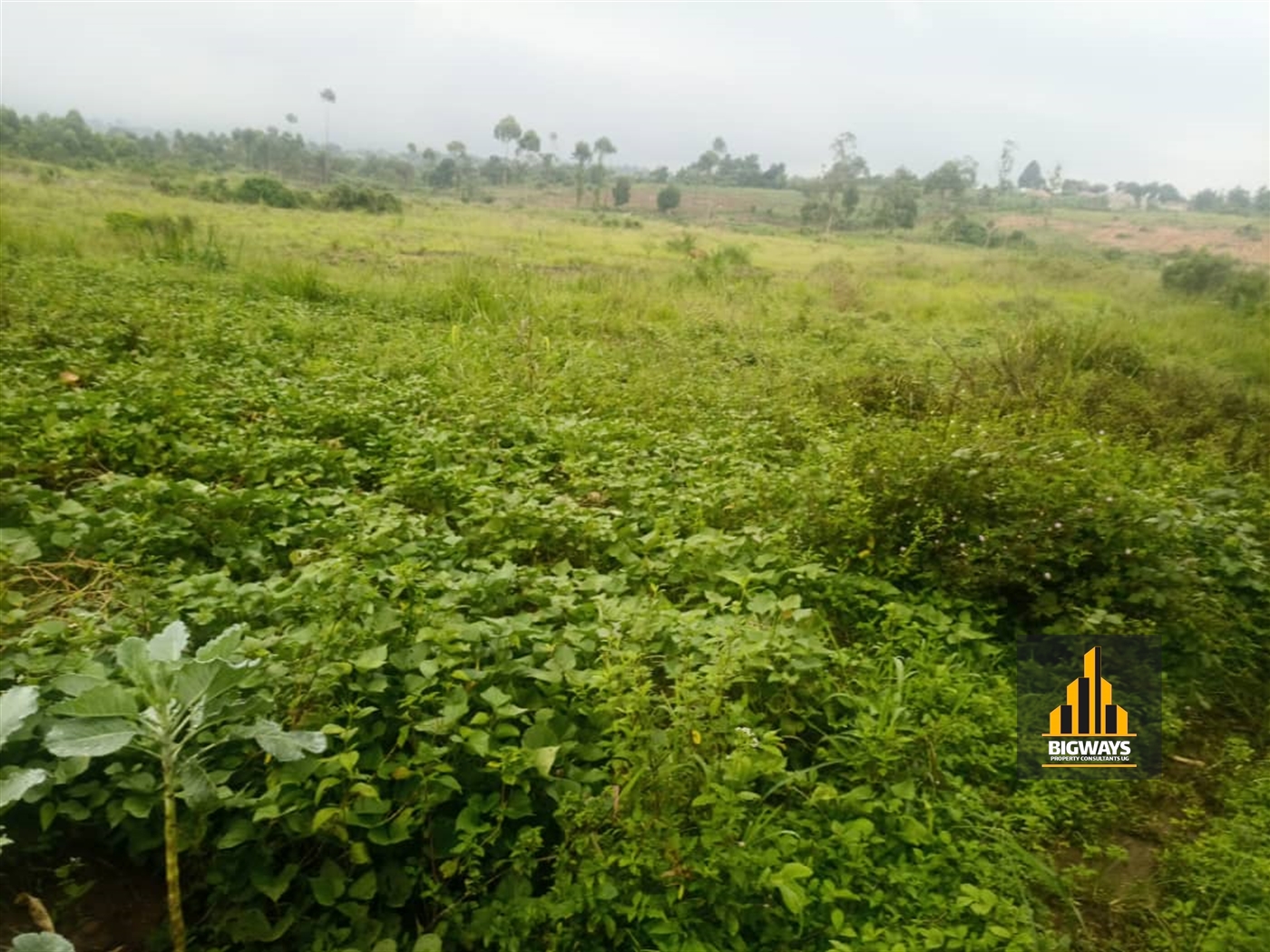 Residential Land for sale in Kiwenda Wakiso