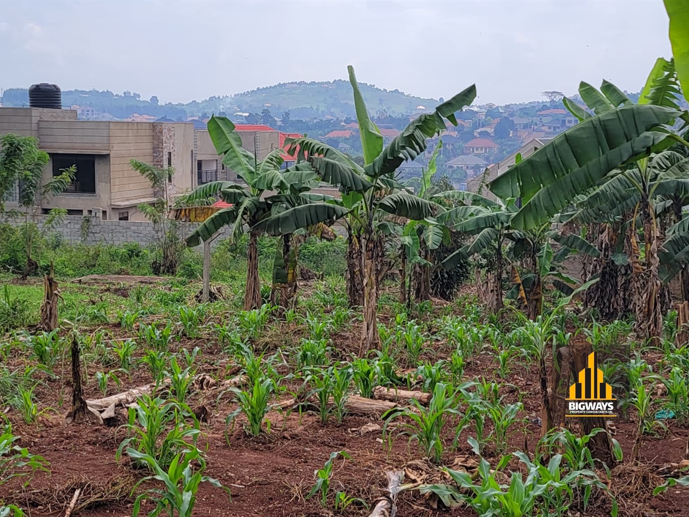 Residential Land for sale in Nsasa Wakiso