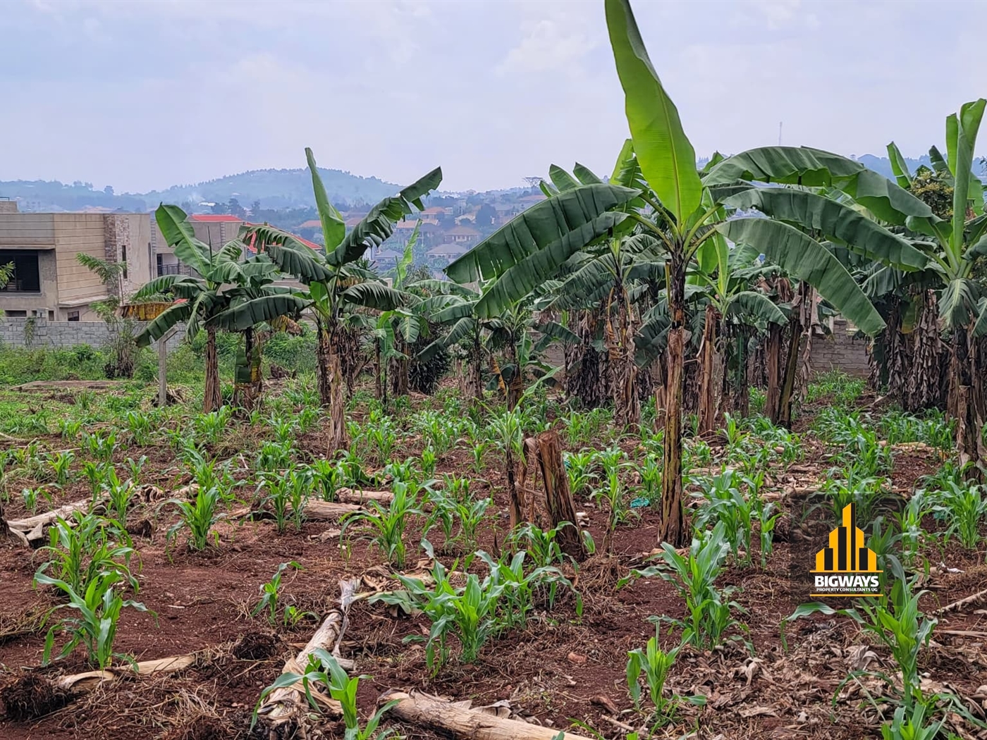 Residential Land for sale in Nsasa Wakiso