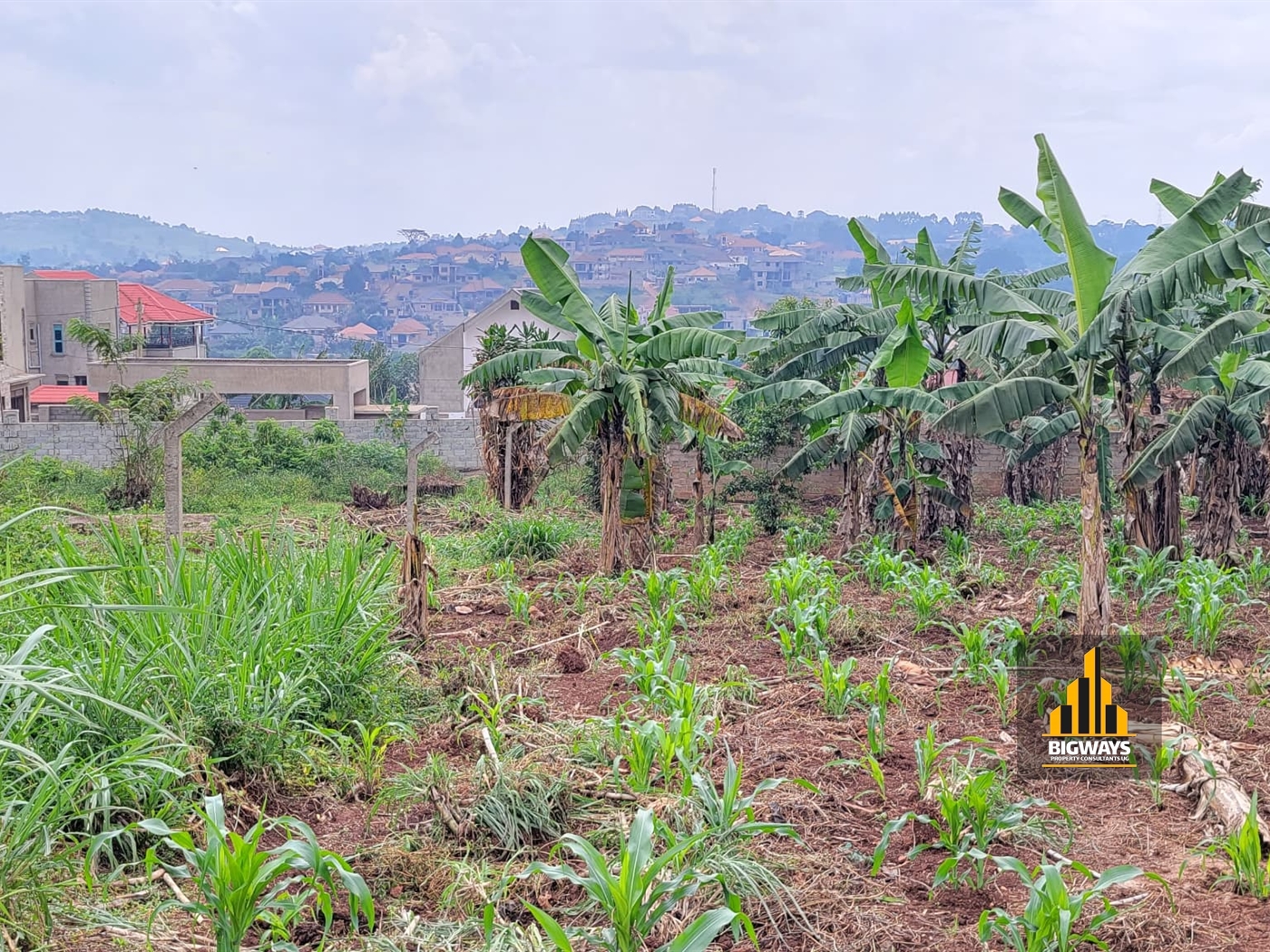 Residential Land for sale in Nsasa Wakiso