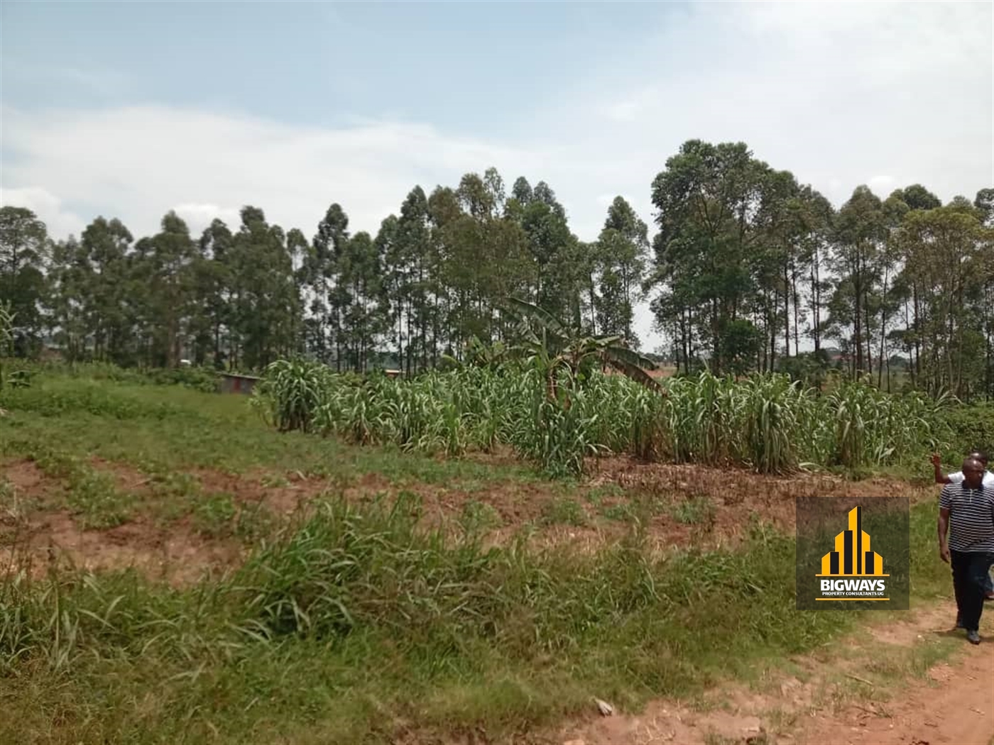 Residential Land for sale in Mulawa Wakiso