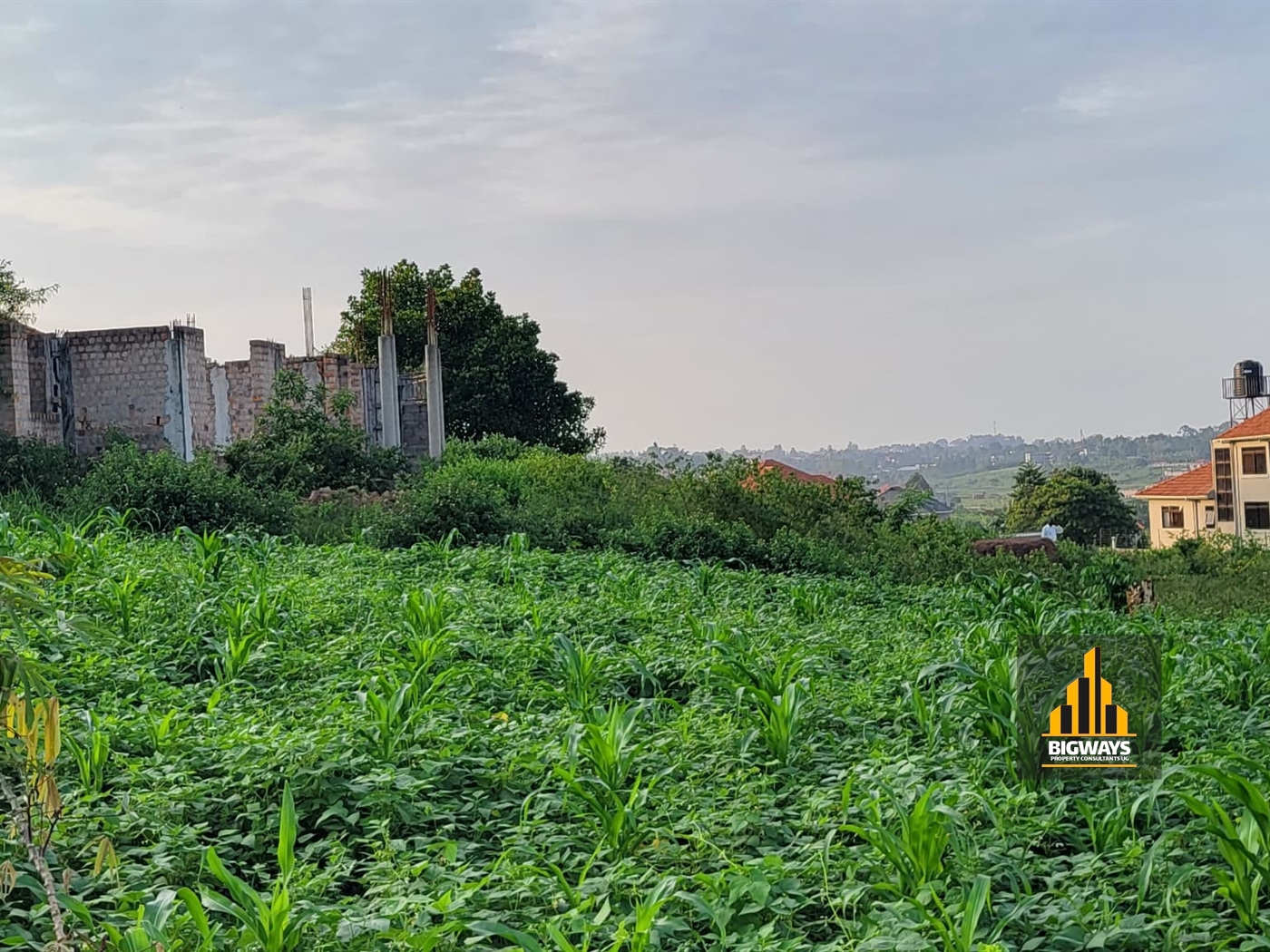 Residential Land for sale in Nsasa Wakiso