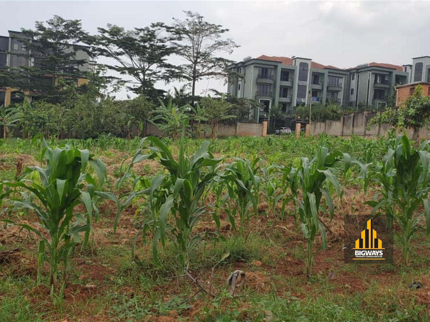 Residential Land for sale in Kyanja Kampala