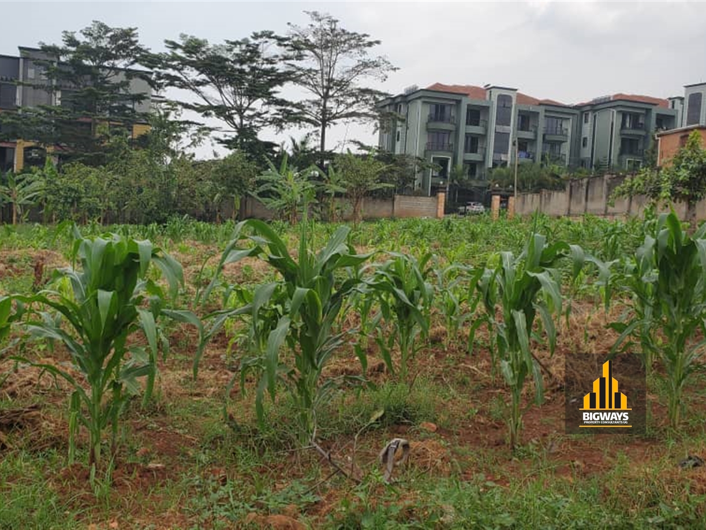 Residential Land for sale in Kyanja Kampala